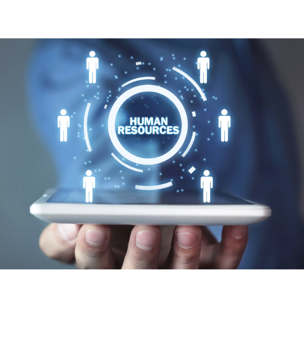 Payroll Report Icon
